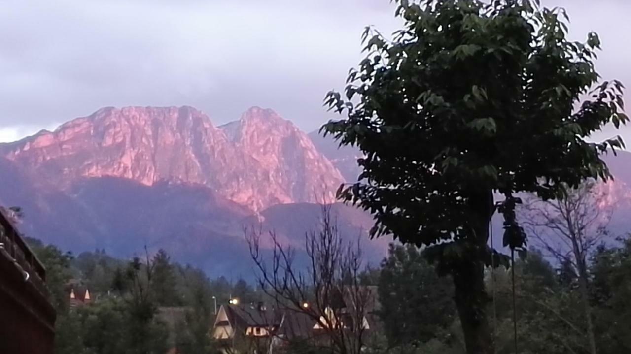 Willa u Zofii Zakopane Esterno foto